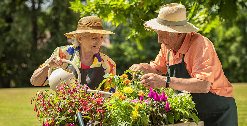 Maison de retraite atelier jardinage